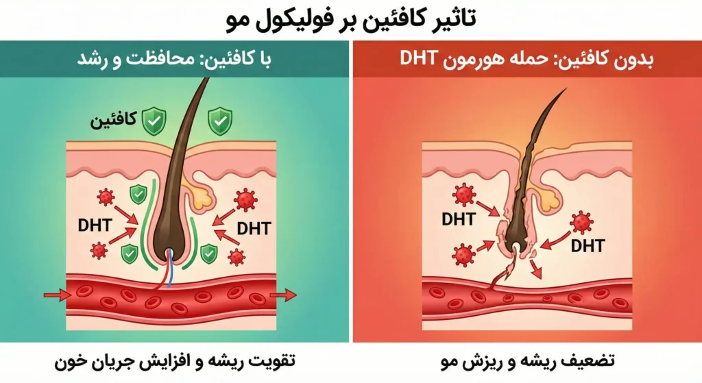 تاثیر قهوه ( کافئین ) بر روی مو 